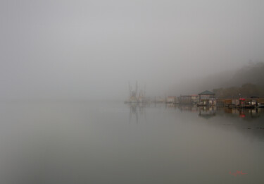 Still Water Under Fog